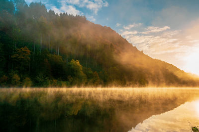 Morning fog on the saar loop near mettlach in germany.