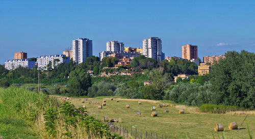 Panoramic shot of trees and buildings against clear sky