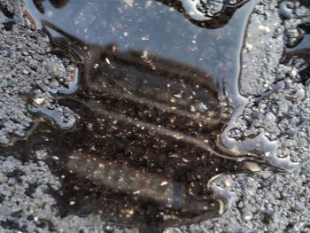 High angle view of water drops on metal