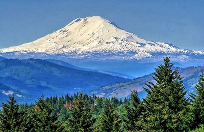 mountain