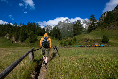 Rear view of man hiking at alpe devero