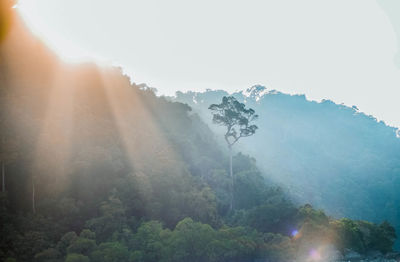 Scenic view of mountains against bright sun