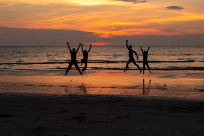 Silhouette tree on beach against sky during sunset