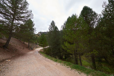 Dirt road amidst trees against sky