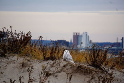 Scenic view of city during winter against sky