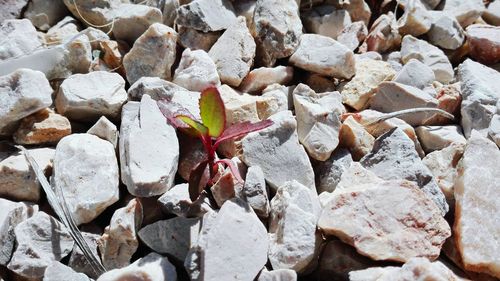 Full frame shot of stone wall
