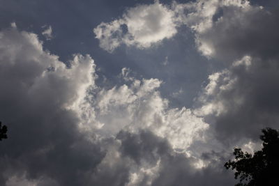 Low angle view of trees against cloudy sky