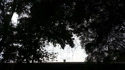 Silhouette of trees on landscape against sky