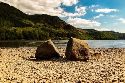 The millennium stones in derwent water on a cloudy summer's day 