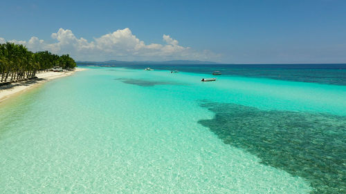 Sand beach,palm tree and ocean. sandy beach and azure water. panglao island, bohol, philippines.