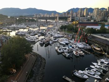 High angle view of boats moored at harbor