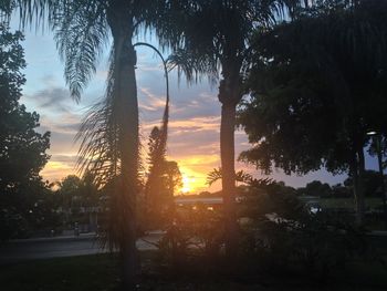 Silhouette trees against sky during sunset