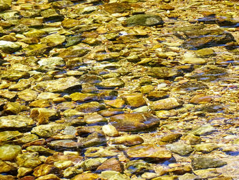 High angle view of stones in sea