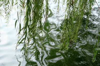 Full frame shot of rippled water