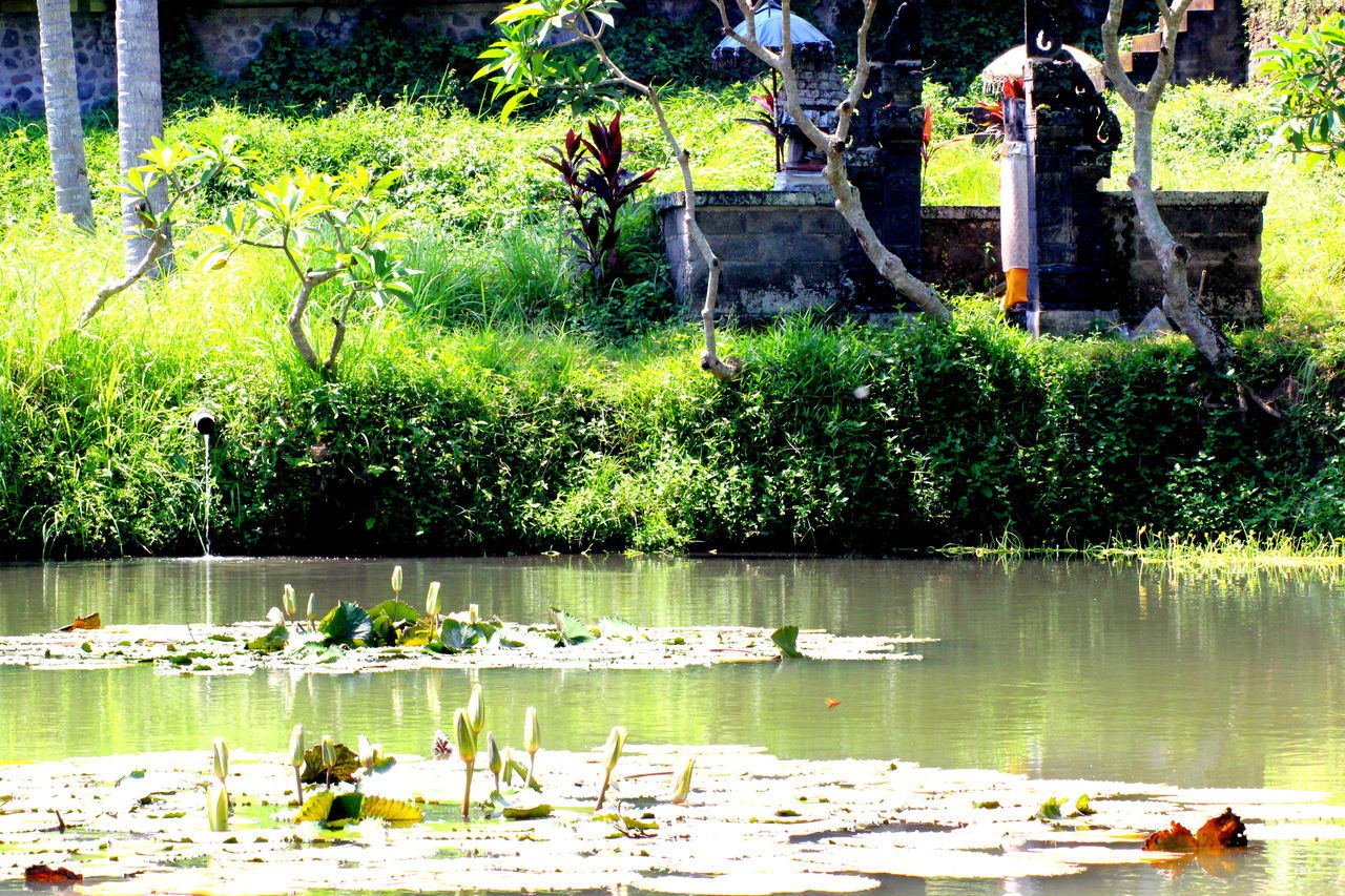 Ubud village