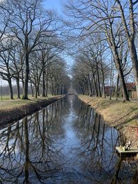 Canal amidst bare trees in forest against sky