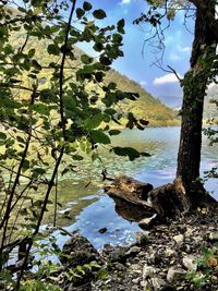 Scenic view of lake against sky