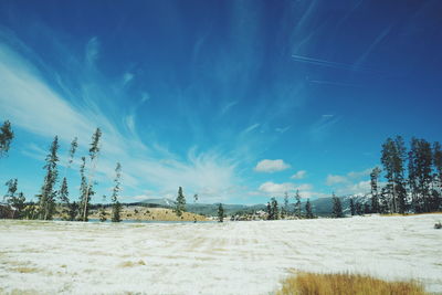 Scenic view of snowy field against blue sky
