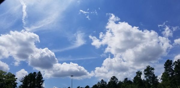 Low angle view of trees against blue sky