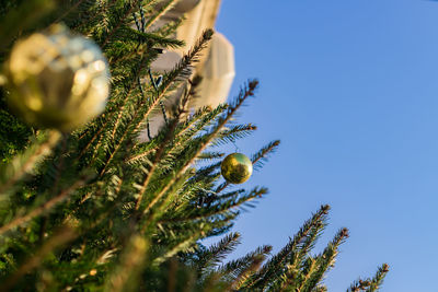 Christmas and new year holidays background. christmas tree decorated with gold balls. 