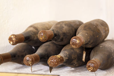 Close-up of shells on table