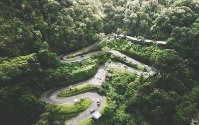 High angle view of road amidst trees in forest