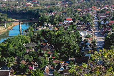 High angle view of houses and trees