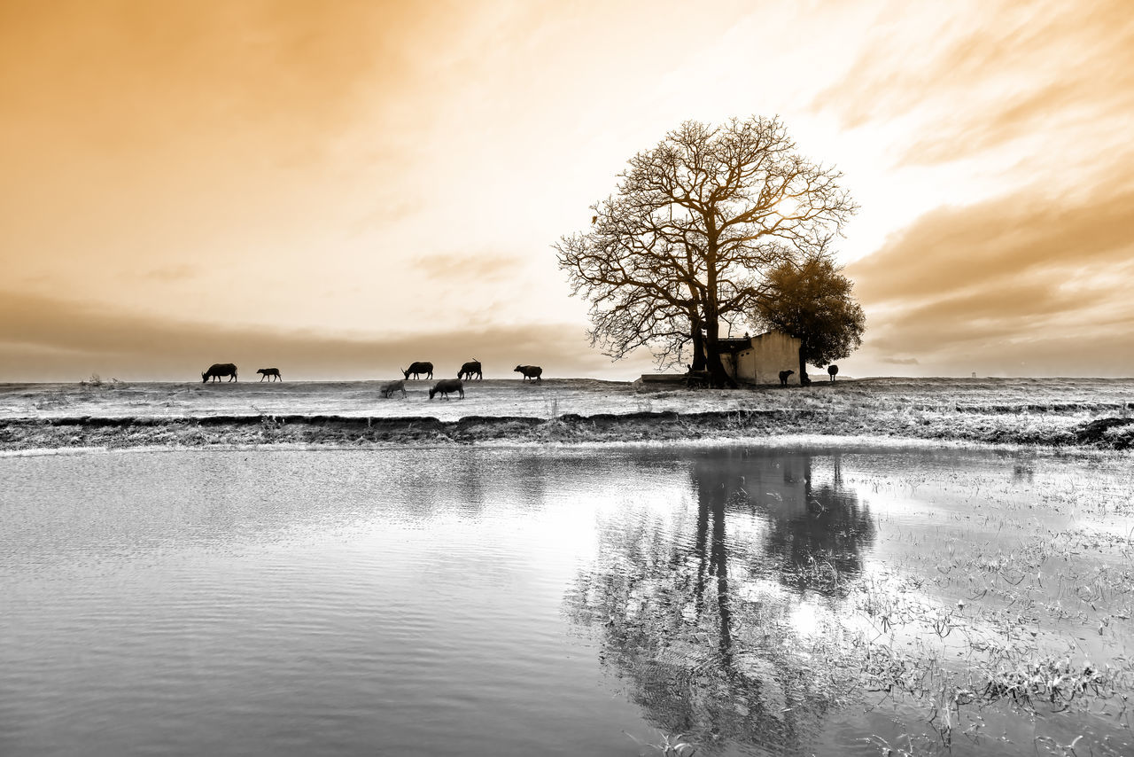 SCENIC VIEW OF SNOW COVERED LAND AGAINST SKY