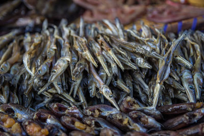 Close-up of dried fish for sale at market stall