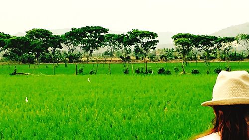 Scenic view of grassy field against sky