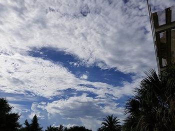 Low angle view of trees against cloudy sky