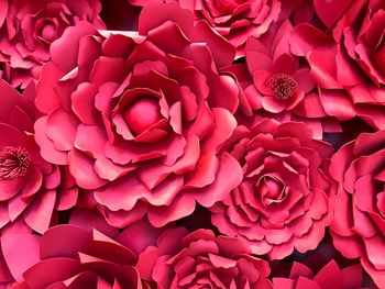 Full frame shot of pink flowering plant