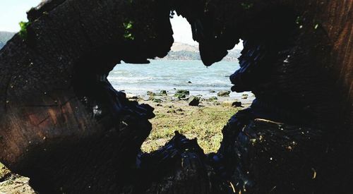 Rock formation in sea