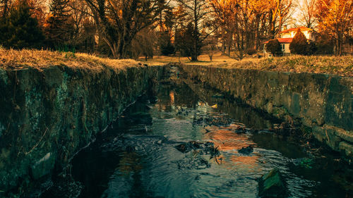 View of autumn leaf on rock by river