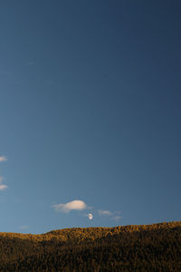 Scenic view of field against blue sky