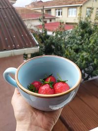 Midsection of person holding fruits