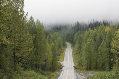 Road amidst trees in forest