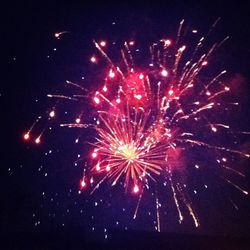 Low angle view of firework display at night