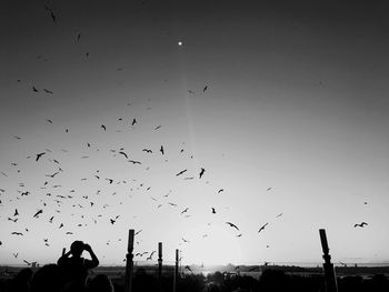 Low angle view of silhouette birds flying against sky