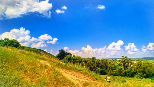 Scenic view of field against sky