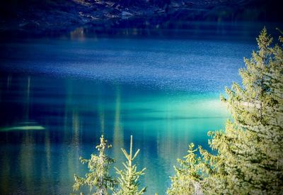 Scenic view of lake