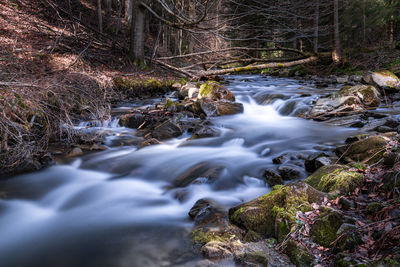 Stream flowing through rocks in forest