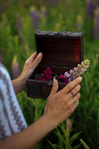 Midsection of woman holding red flowering plant