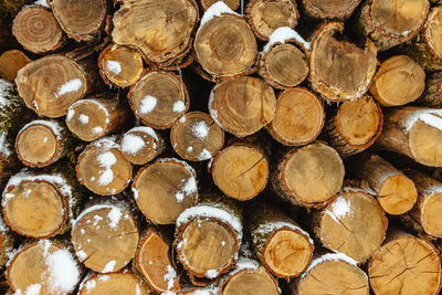 Full frame shot of logs in forest