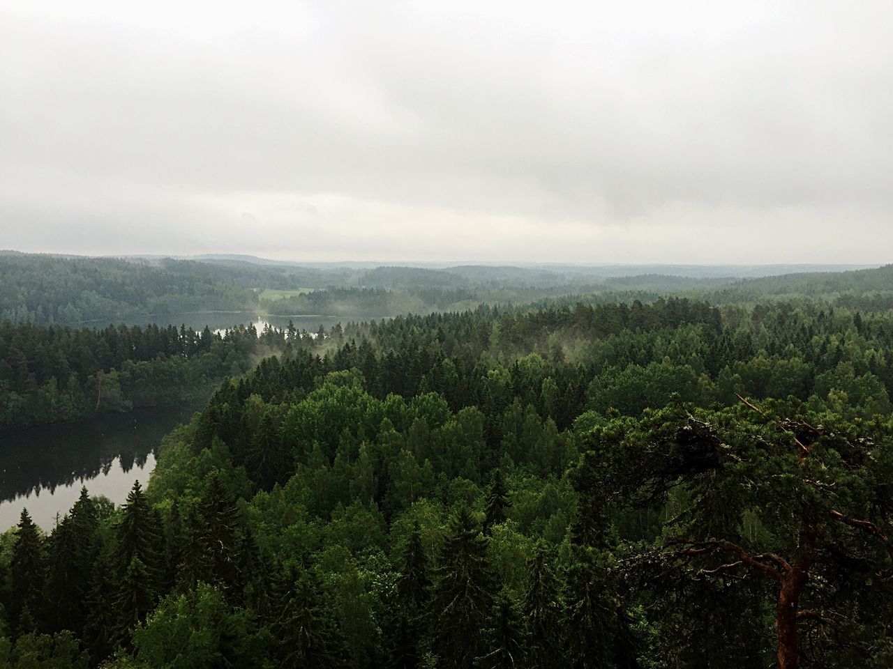 tranquil scene, tranquility, scenics, tree, sky, mountain, beauty in nature, landscape, nature, green color, growth, lush foliage, non-urban scene, idyllic, cloud - sky, mountain range, forest, plant, fog, day