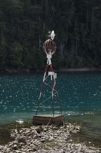 Rope hanging on tree by lake in forest