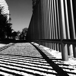 Walkway along trees