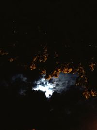 Low angle view of silhouette trees against sky at night