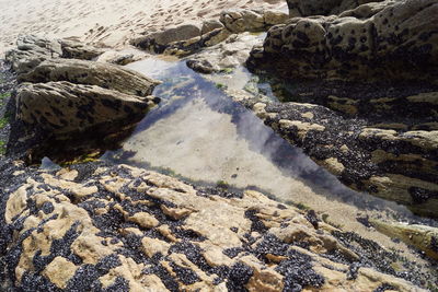 High angle view of rocks on shore