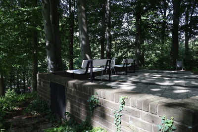 Empty bench in park